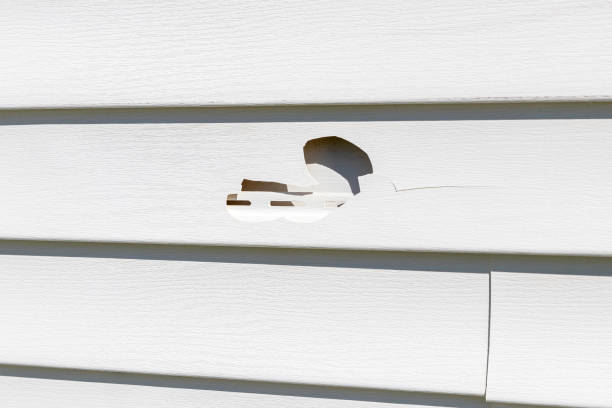 Best Property Management Cleanouts  in Plainedge, NY